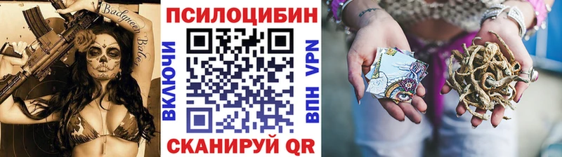 Купить  Электроугли  Галлюциногенные грибы Psilocybine cubensis 